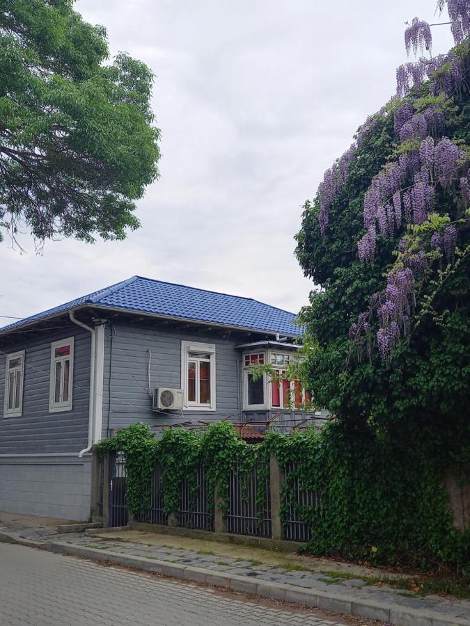 Casa De Vacanta Rodica Sulina Luaran gambar