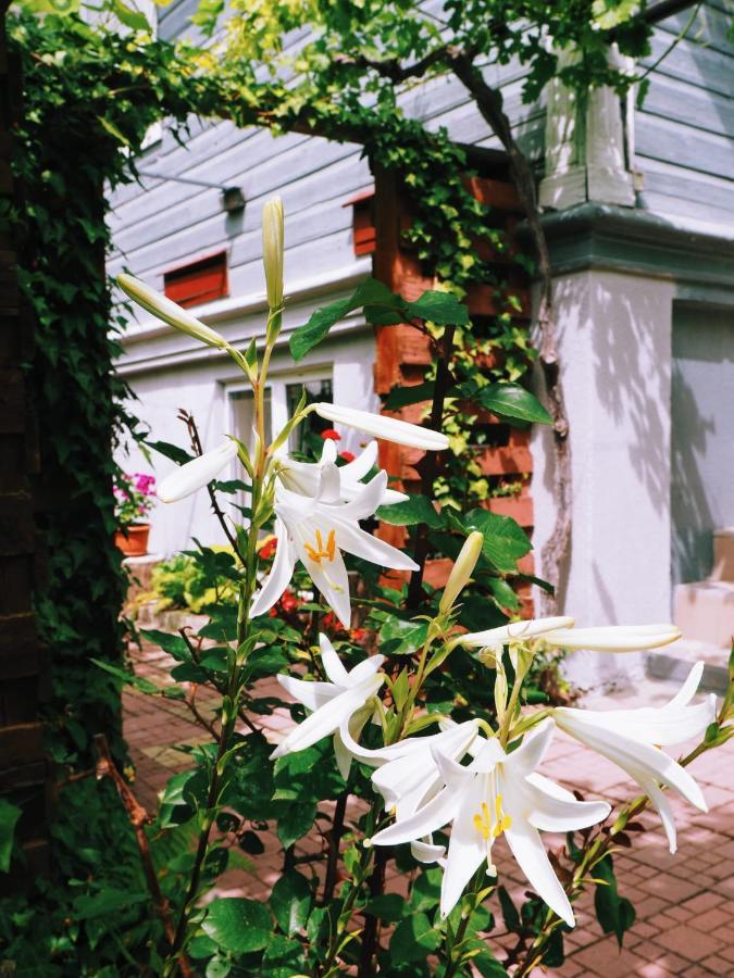 Casa De Vacanta Rodica Sulina Luaran gambar